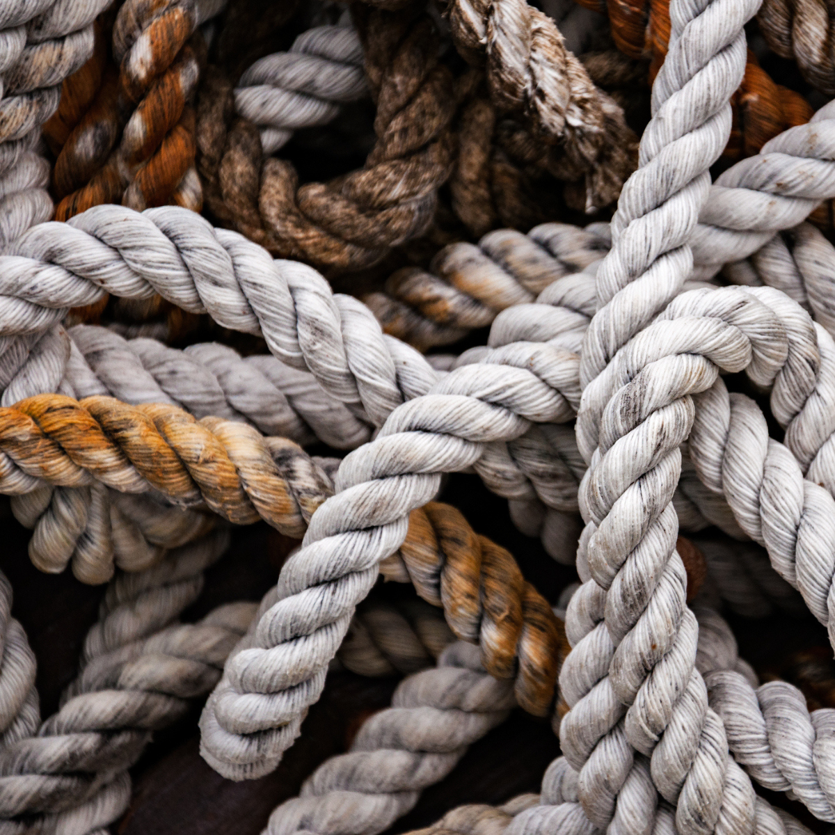 A mess of tangled ropes